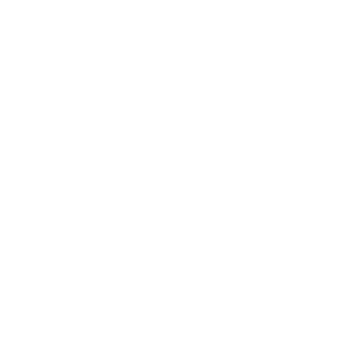 AUAV Store